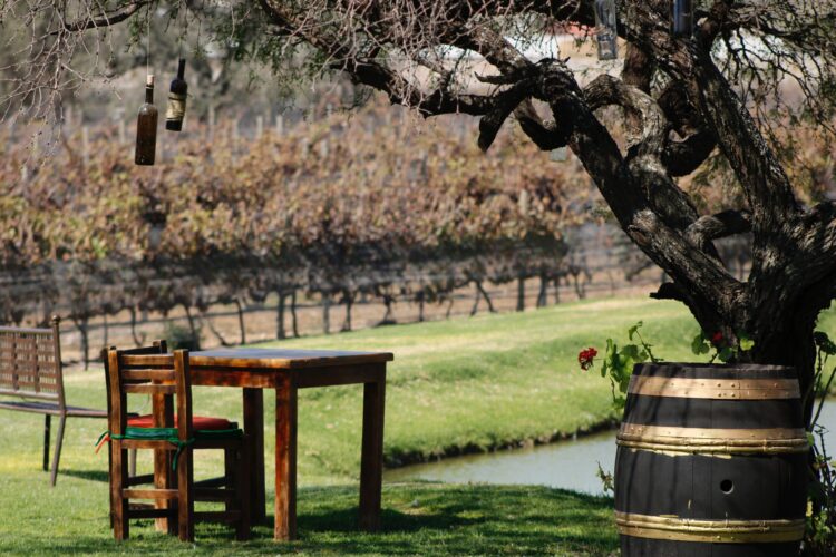 Pretreating High Strength Waste for Huber’s Orchard and Winery image